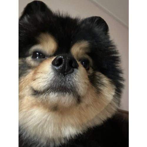 조재우